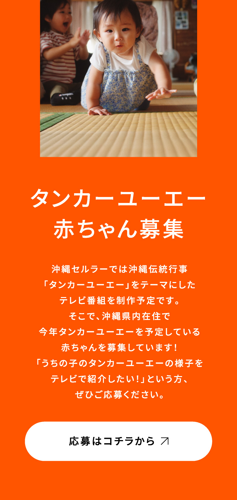 タンカーユーエー赤ちゃん募集