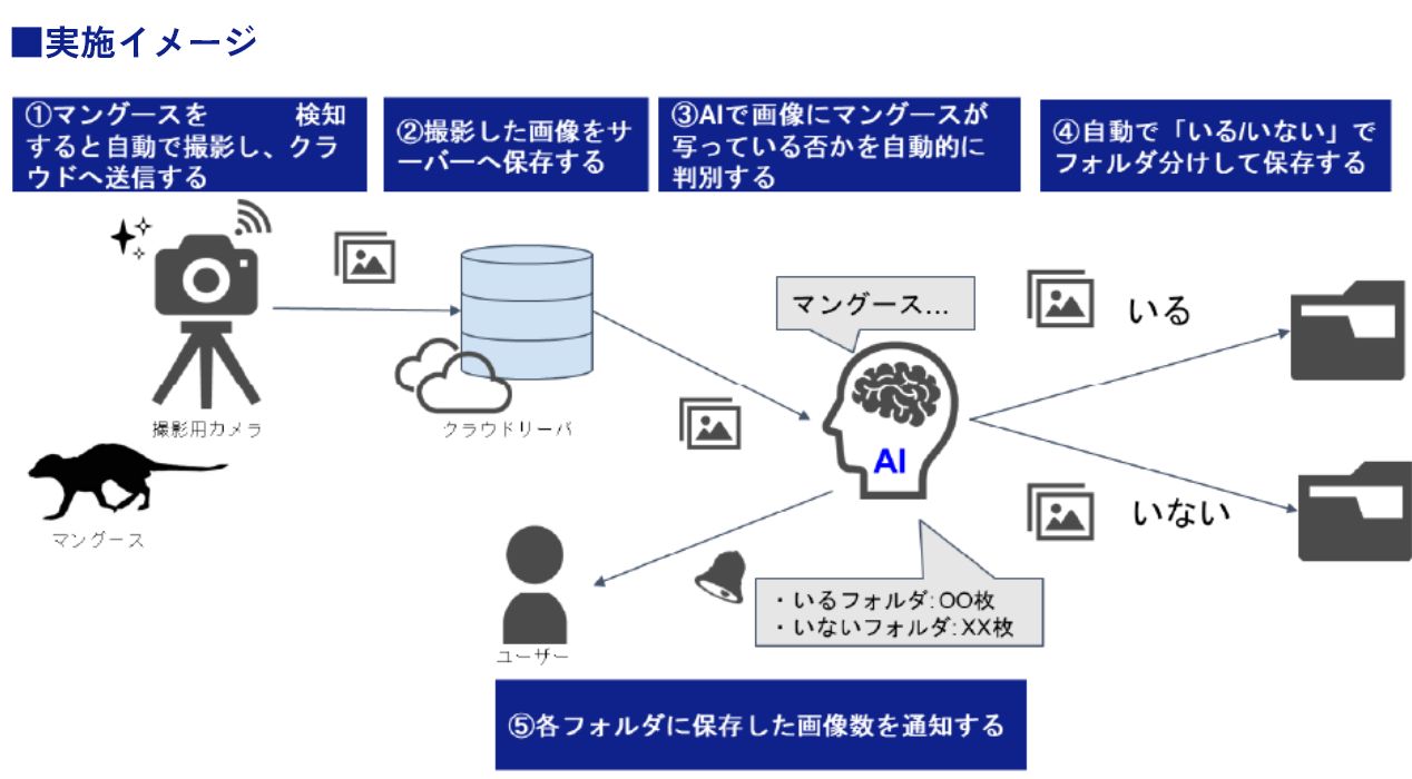 実施イメージ