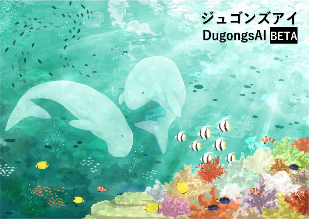 ジュゴンアイ写真
