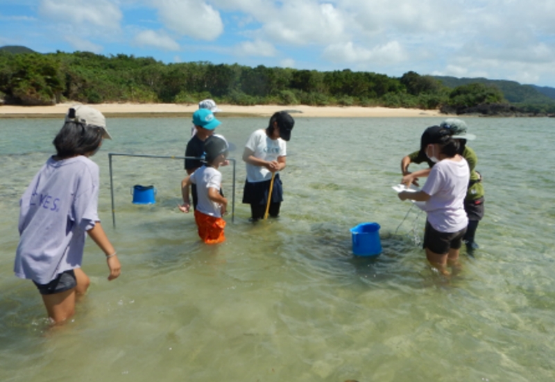 野底小学校の生徒たちの様子
