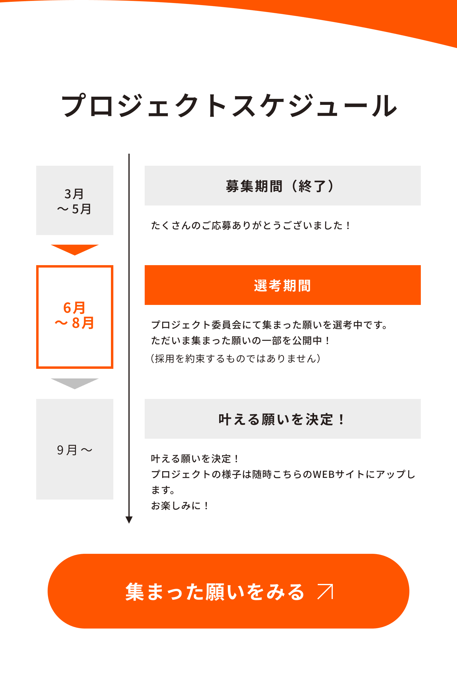 プロジェクトスケジュール