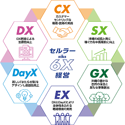 セルラー6X経営